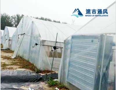 徐州蔬菜大棚種植專用鍍鋅板負(fù)壓風(fēng)機(jī)通風(fēng)降溫工程