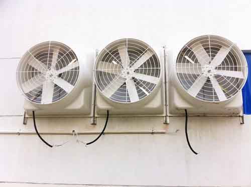 揚(yáng)中大型車(chē)間用的負(fù)壓風(fēng)機(jī)